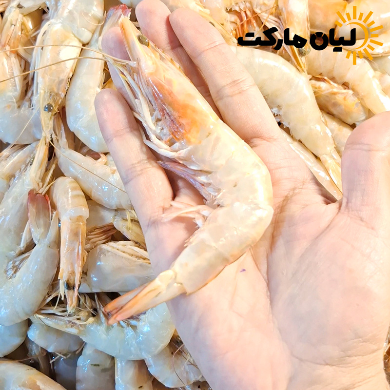 میگو دریایی بوشهر سایز 100-80 | وزن متغیر ۱۰ تا ۳۰ کیلویی